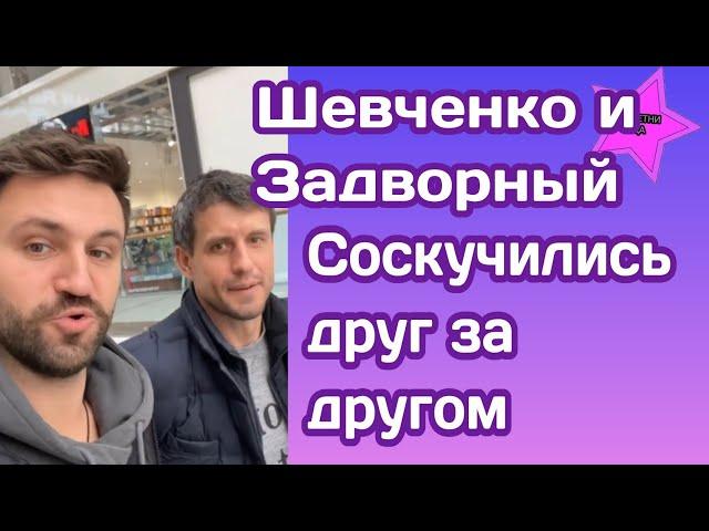 Дмитрий Шевченко и Андрей Задворный соскучились друг за другом