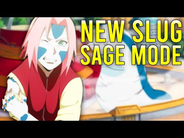 Sakura Sage Mode REVEALED?!