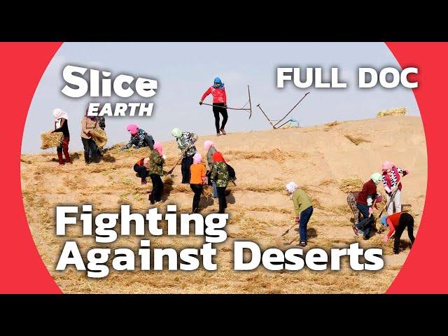 The Green Wall: China's Defense Against Desertification | SLICE EARTH | FULL DOC