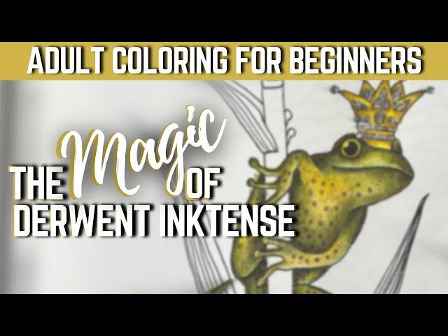 LET'S COLOR! | THE MAGIC OF DERWENT INKTENSE | Derwent Inktense for Beginners