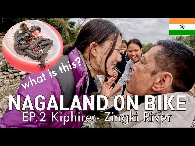 I don’t know what I ate but it was tasty | Nagaland on Bike EP.2 Kiphire - Zingki River