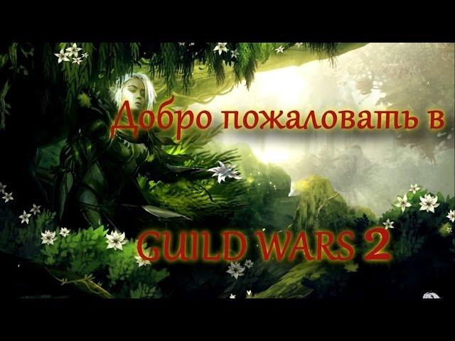 GUILD WARS 2. Краткий обзор рас, классов, создание персонажа