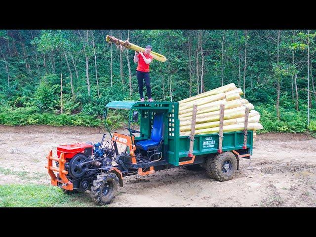 Use Truck To Transport Banana Trees To Sell for Hien, As Food for Pigs and Ducks - Daily Farm