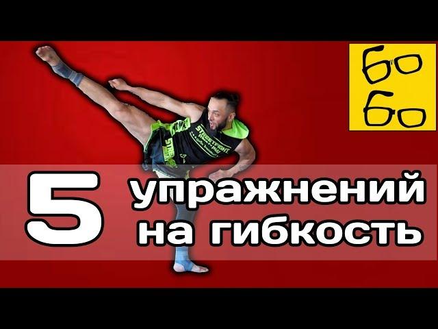 Тренировка гибкости для ударов ногами! 5 упражнений на гибкость бедер и таза от Анвара Абдуллаева