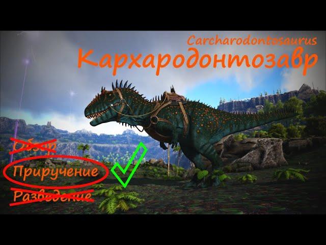 Кархародонтозавр быстрое приручение / Carharodontosaurus easy and fast taming