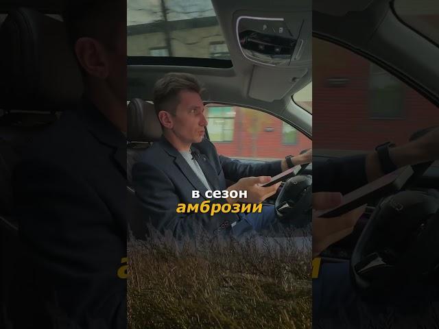 Бросают все и переезжают на север! 