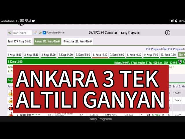 2 Kasım 2024 Cumartesi Ankara at yarışı tahminleri Ankara altılı ganyan tahminleri | Oğulcan Karaca