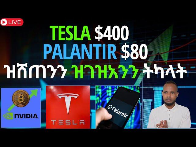 ዝሸጠንን ዝገዝአንን ትካላት // Tesla $400 // Palantir $80 | 𝐅𝐢𝐝𝐞𝐥 𝐅𝐢𝐧𝐚𝐧𝐜𝐞