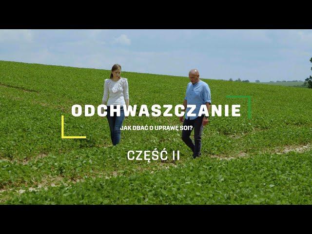 Zabiegi odchwaszczania w uprawie soi cz.2