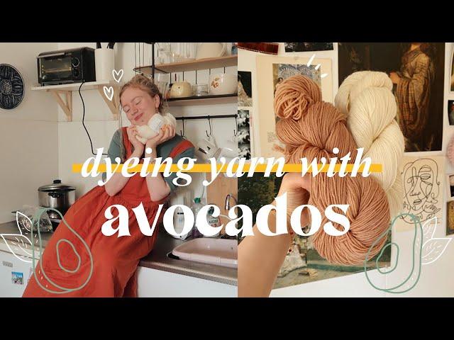 hand dyeing yarn with avocados  | natural & simple way to dye yarn