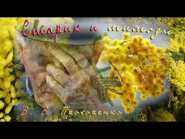 В. В. Прохоренко. СТАРИК И МИМОЗЫ.