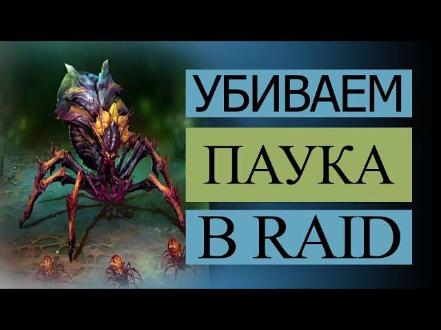 RAID ПАУК. КАК ПРОЙТИ ПАУЧИХУ...