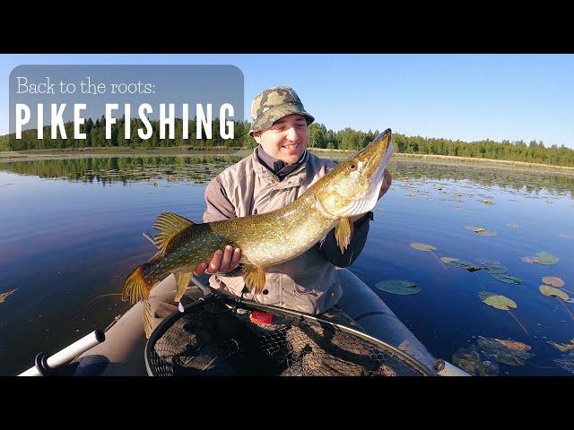 [4K] Back to the roots - PIKE FISHING | Tagasi juurte juurde - HAUGIPÜÜK