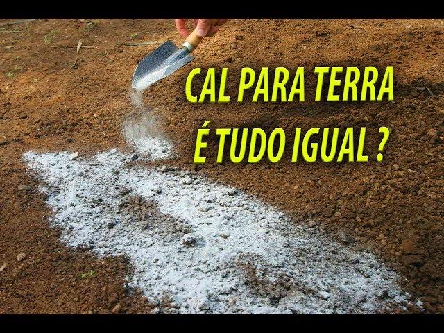 Cal para Solo e Calda Bordalesa, Tire suas duvidas com Sergio Semerdjian