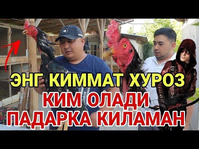 ЭНГ КИММАТ ХУРОЗНИ ПАДАРКА КИЛАМАН КИМ ОЛАДИ /ПАРВОЗЛАР УЧУН ГЕРАКЛ 16.05.2023(ОХУНОВ ТВ)