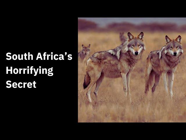 Apartheid's Manhunter Wolves