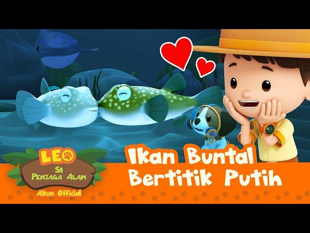 Ikan Buntal Bertitik Putih | Leo Si Penjaga Alam | #minisode