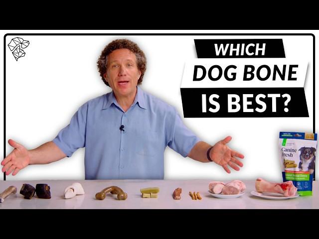 Vet's Guide To Dog Bones & Dental Chews—Find the Best Option for Your Dog!