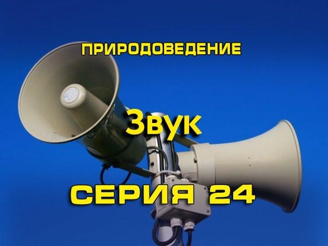 Природоведение 24. Звук