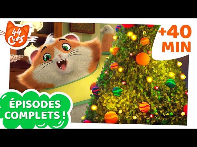 44 Chats | 40 MINUTES | Épisodes Complets Compilation | Le plus chattastique Histoires de Noël ️