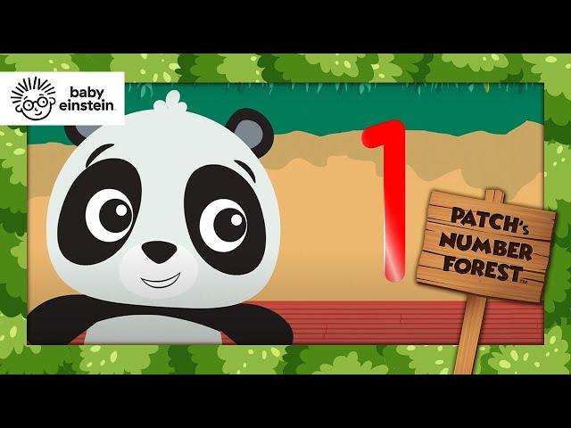 Learning 1, 2, & 3 | Patch's Numbers Forest | Baby Einstein | Toddlers Show | Kids Cartoons