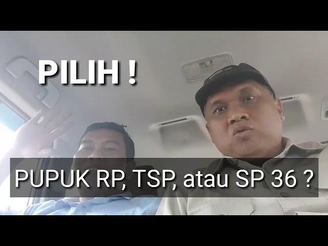 Cara Memilih Pupuk RP, TSP, atau SP 36 !