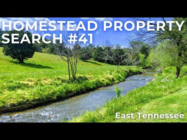 Homestead Property Search #41 | East Tennessee