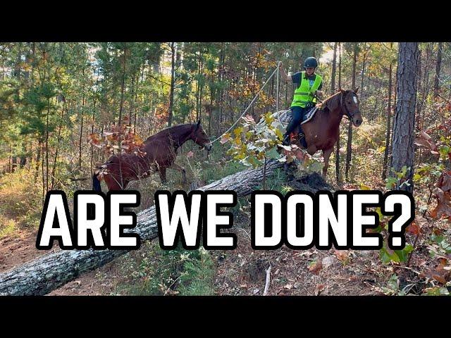 Traveling 4,500 Miles With Horses - Are We Done?