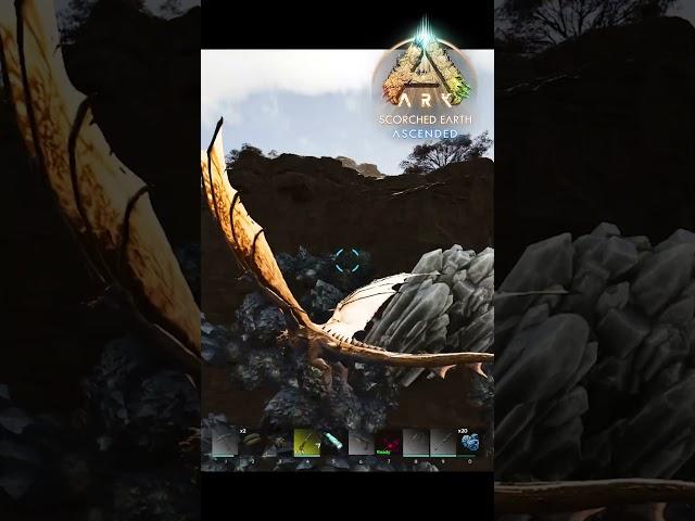 Наконец то Виверны в ARK ASA 185 Яичко повезло! #arksurvivalascended #shorts #shortsvideo