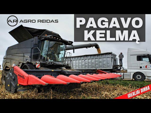 Drąsiau jaučiasi vikšriniame kombaine || AGRO REIDAS