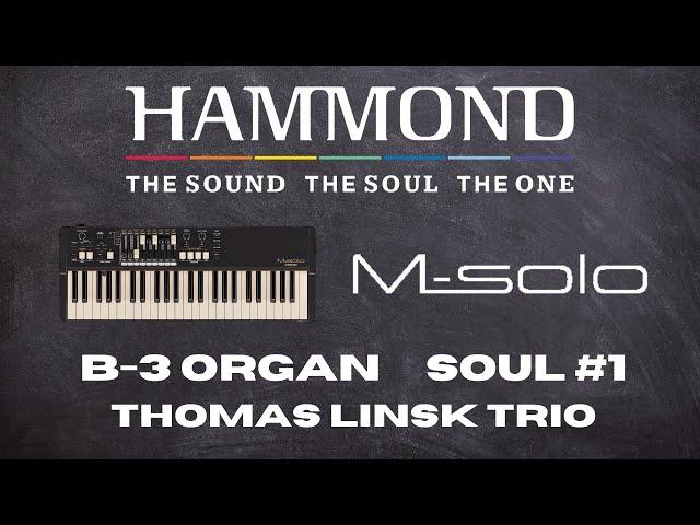 Hammond M-solo B-3 type Organ Video Demo SOUL#1