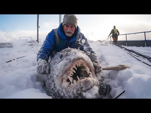 HOW DO PEOPLE SURVIVE IN THE COLDEST PLACE ON EARTH? YAKUTIA!