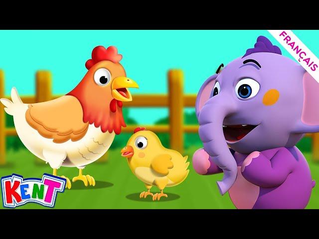 Apprendre les animaux  | Dessin Animé | Bébé Kent