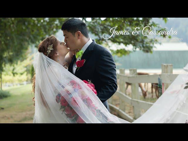 Same Day Edit Wedding at Chateau Lill. Washington Wedding Video