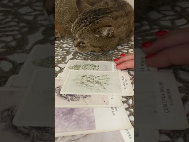 ПАУЗА ИЛИ КОНЕЦ ⁉️