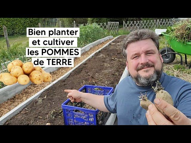 Comment bien planter et cultiver les POMMES de TERRE 『TUTO』