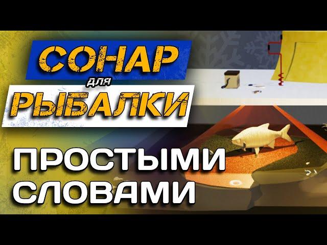 Как пользоваться эхолотом? Сонар простыми словами. Эхолот для зимы