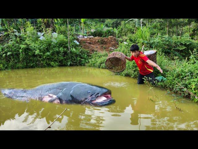 Full video of 28 days of fishing by boy Lam. He caught a lot of big fish. | Wandering boy