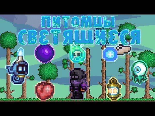 [Terraria Гайд] СВЕТЯЩИЕСЯ ПИТОМЦЫ (Light Pets)