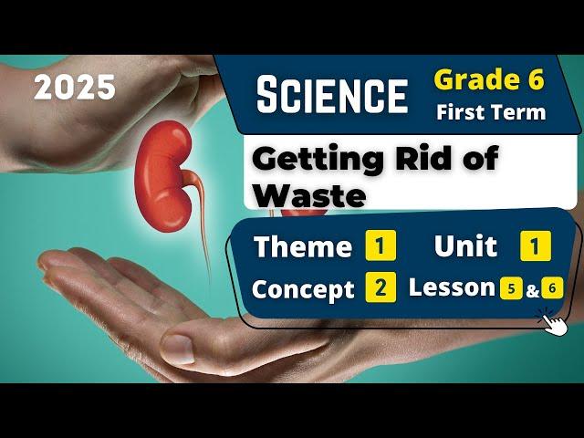 Getting Rid of Waste | Grade 6 | Unit 1 - Concept 2 - Lesson 5&6 | Science