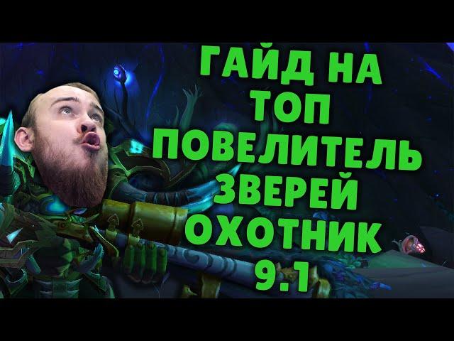 ПОВЕЛИТЕЛЬ ЗВЕРЕЙ ОХОТНИК ШАДОУЛЕДС ПАТЧ 9.1 КОВЕНАНТЫ ТАЛАНТЫ РОТАЦИЯ  SHADOWLANDS WOW PVE IVELKNOW