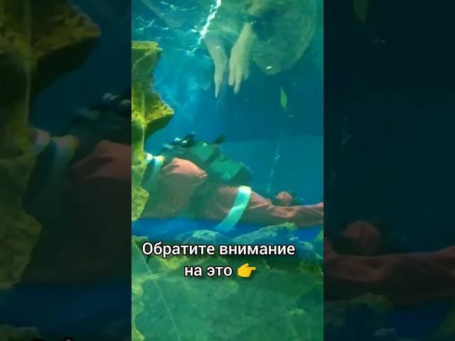 Секреты посещения ОКЕАНАРИУМА с детьми #short #shorts