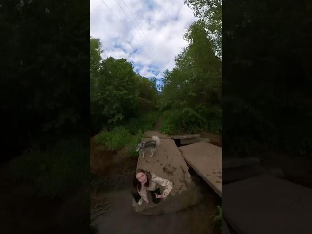 What is this young witch doing in the forest? #forest #summer #girl #husky #dog #river #insta360