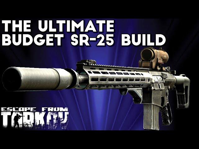 This Budget SR-25 Build Is Amazing! | Escape From Tarkov