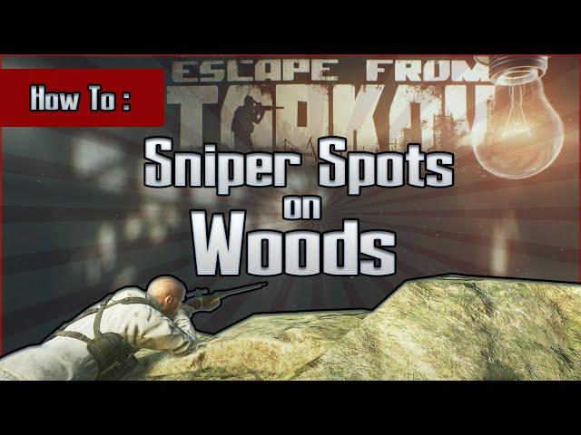 Sniper Spots on Woods - Ultimate Snipe Locations Guide - Escape from Tarkov Tips and Tricks EFT