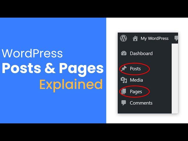 WordPress Posts vs Pages The Difference and When To Use Them