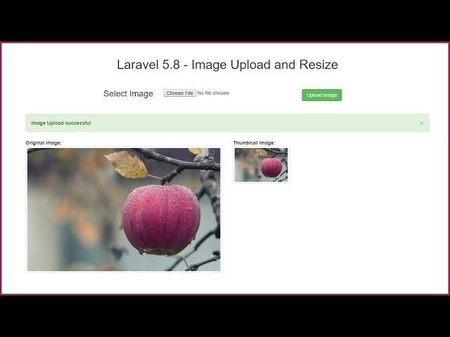 Laravel 5.8 - Image Upload and Resize