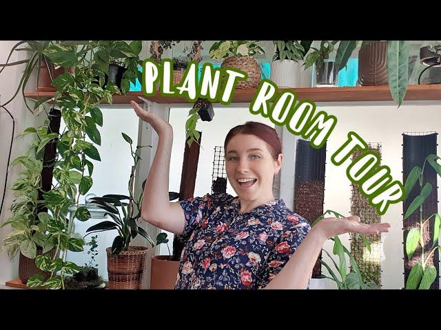 HOUSE PLANT TOUR // Part one