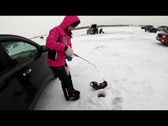 ЛОВИЛИ ВСЕ! ВАГНЕР ВИБ против САМОДЕЛЬНОГО СИНЕГО ПРЫЩА! РЫБАЛКА на СУДАКА! ПОДВОДНЫЕ СЪЕМКИ СУДАКов