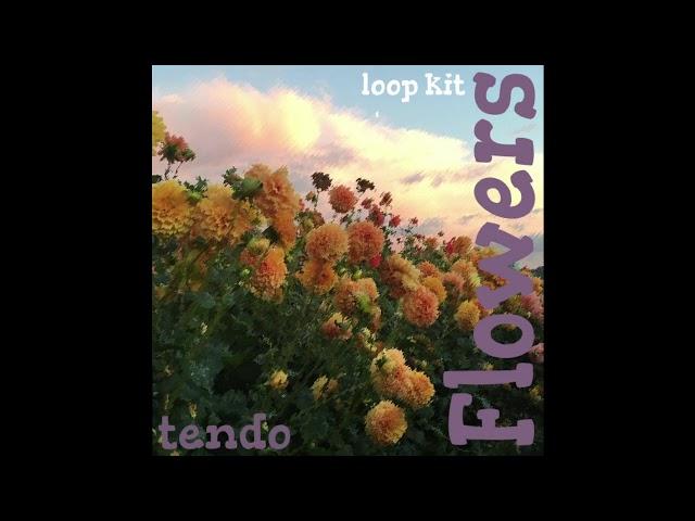 [FREE] Loop Kit - Flowers (Nick Mira, Juice WRLD, and more)